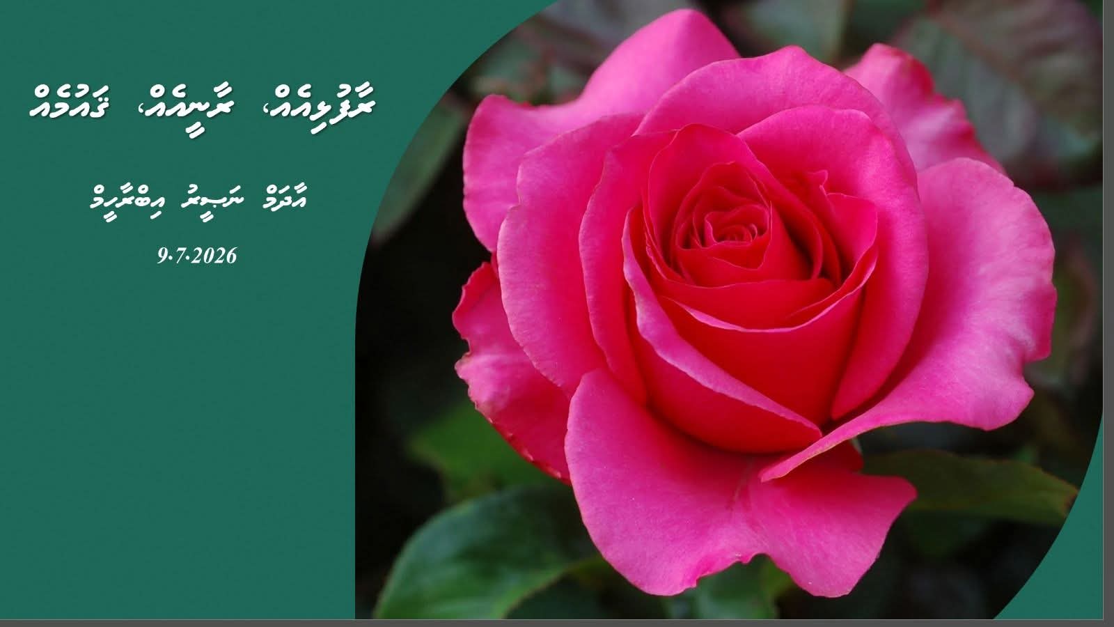 ރާފުޅިއެއް، ރާނީއެއް، ޤައުމެއް