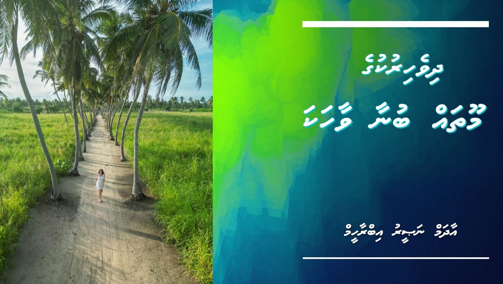 ދިވެހިރުކުގެ މޫތައް ބުނާ ވާހަކަ